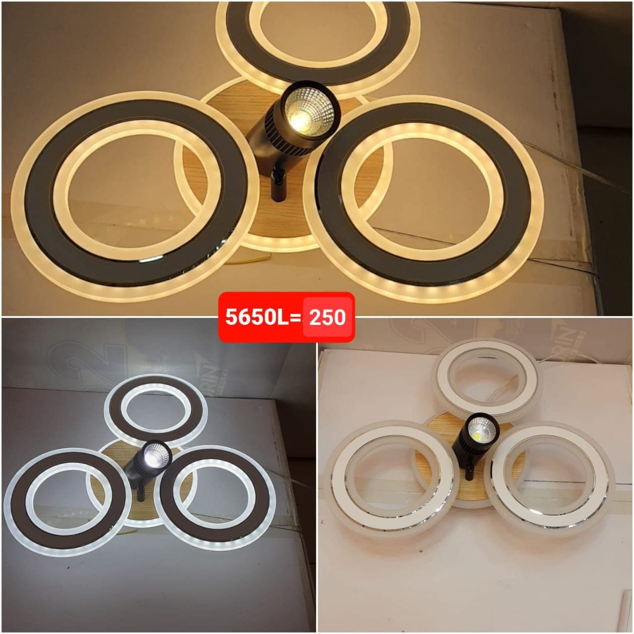 Plafonnier Anneaux 5650L